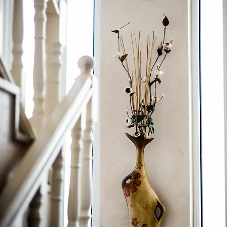 Flowers 3* Međugorje